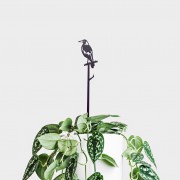 Metalbird | Plant Stakes | Magpie